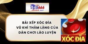 Bài Xếp Xóc Đĩa