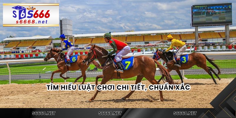 Tìm hiểu luật chơi chi tiết, chuẩn xác