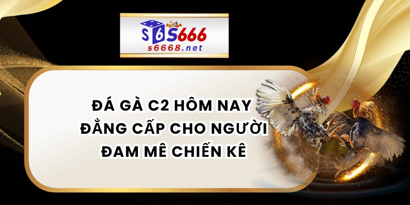 Đá Gà C2 Hôm Nay