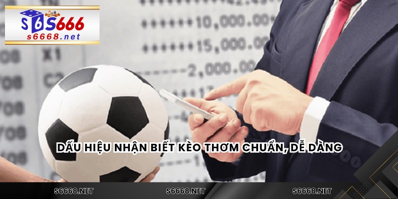 Dấu hiệu nhận biết kèo thơm chuẩn, dễ dàng